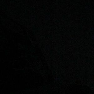 Meet your Posher, Paul